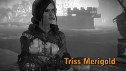 Characters 2 - Triss Merrigold