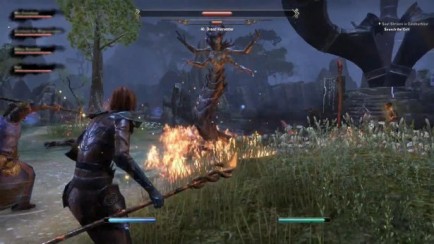 Dev Play Session - ESO Group Content